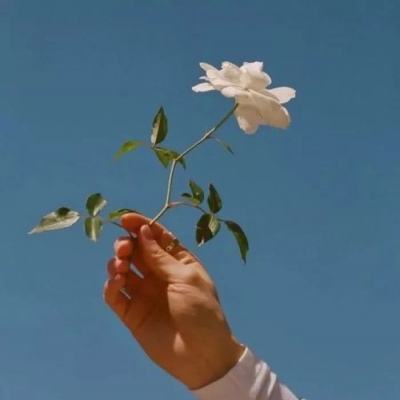力纳克荣膺“新质”标杆企业奖